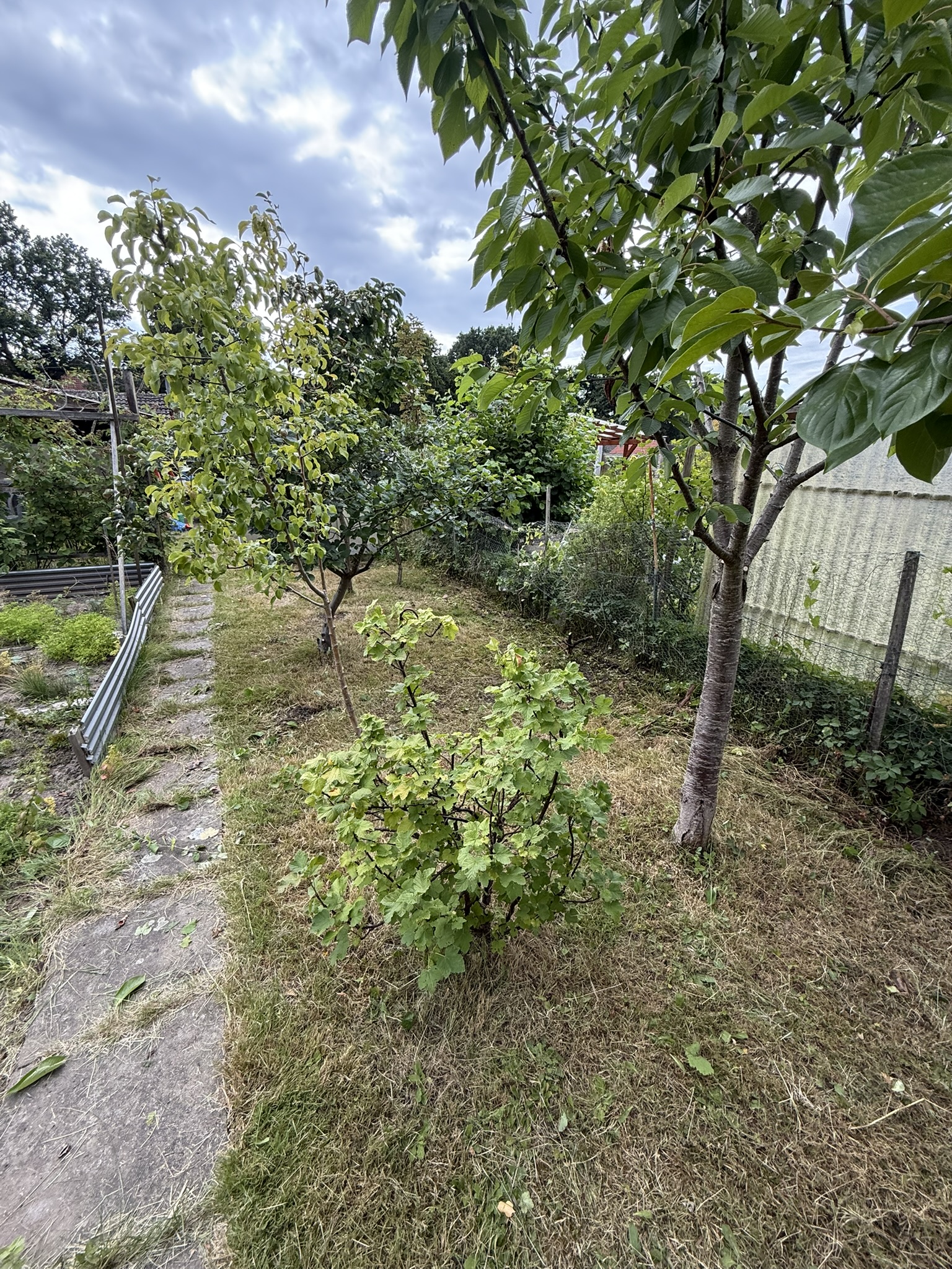 Acker, Zaun und Nachbarn: Ein produktiver Gartentag